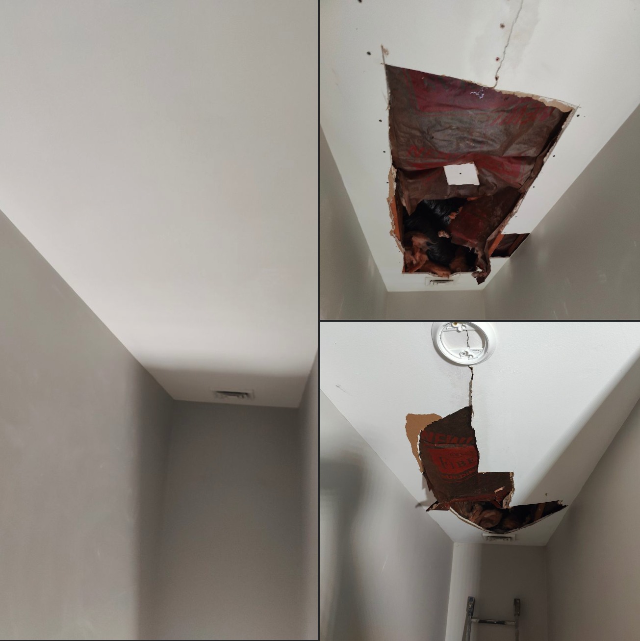 Drywall ceiling damage, repaired - Williamsville, NY 2023