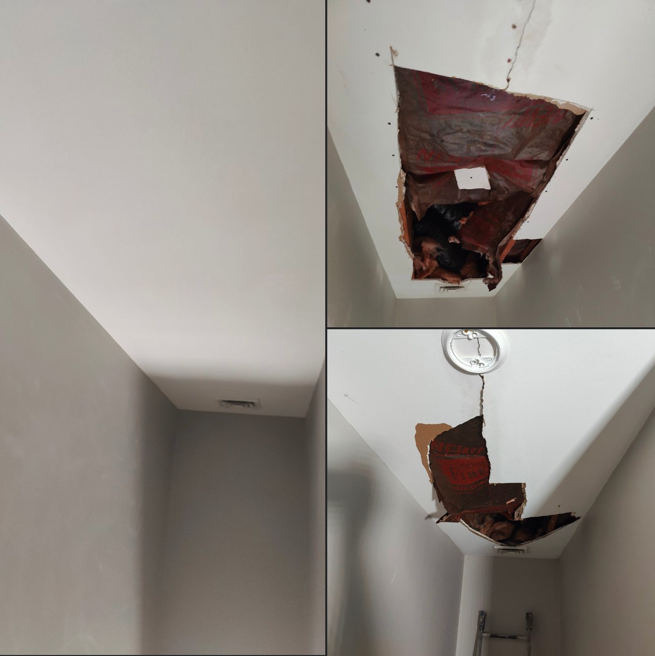 Drywall Ceiling Repair Patch