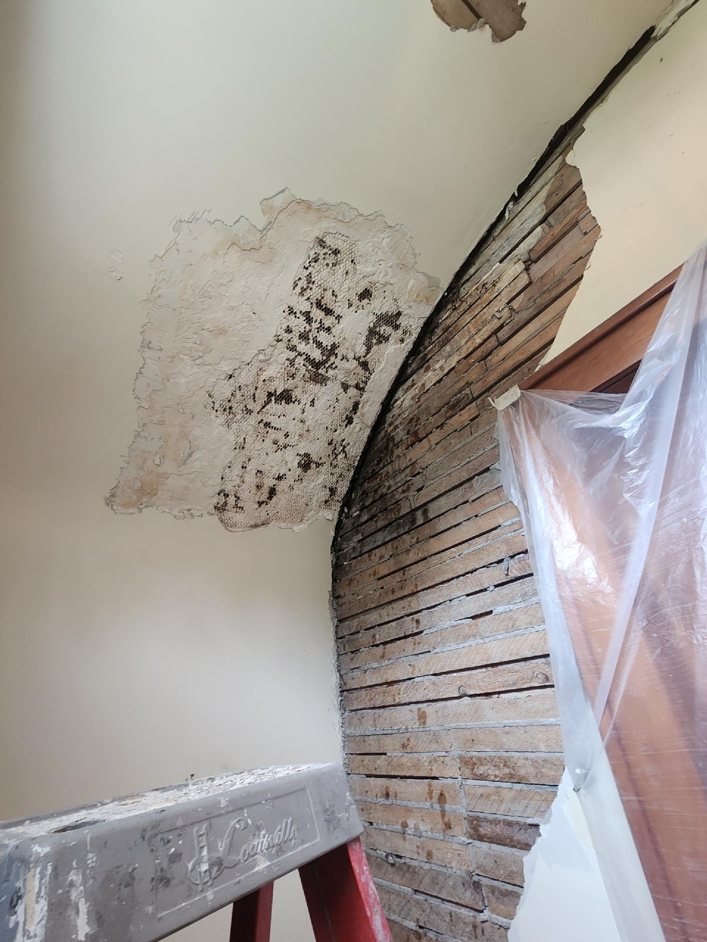 Water Damage Plaster Repair in Amherst NY, 2023